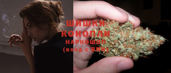 СК Богородицк