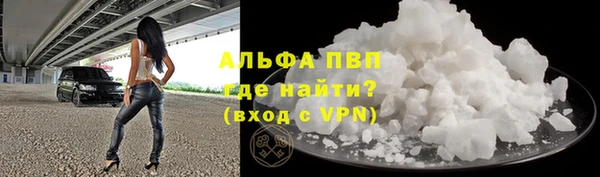 СК Богородицк