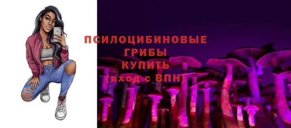 скорость Богородск