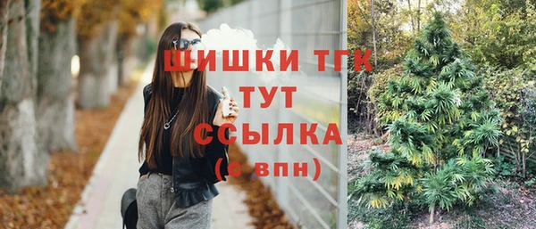 СК Богородицк