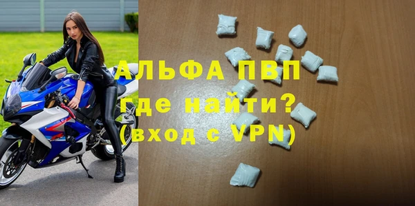 СК Богородицк