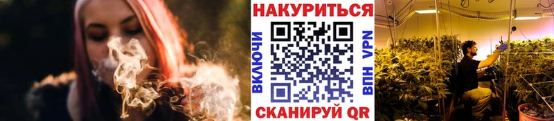 Купить  Кохма  Канабис сатива 